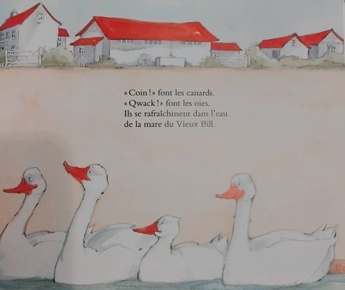 Le cochon dans la mare
