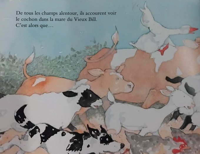 Le cochon dans la mare