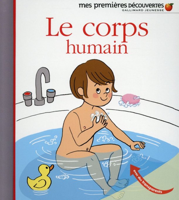 Le corps humain