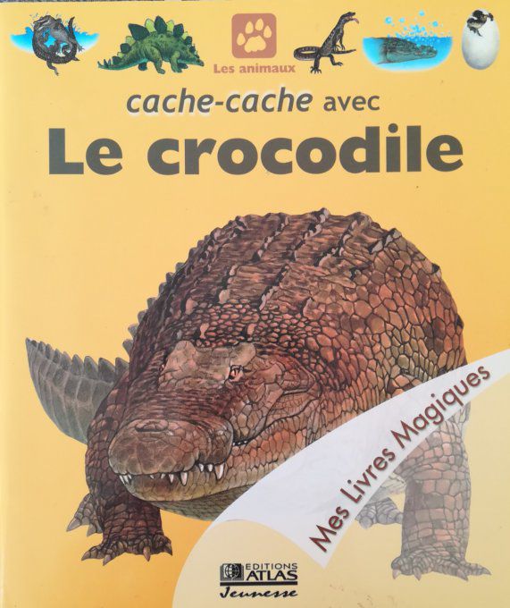 Cache-cache avec le crocodile