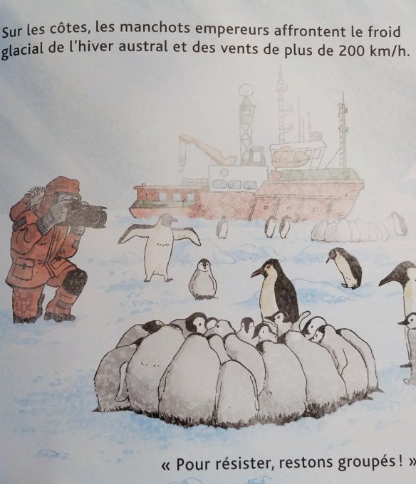 Mes p'tits docs le désert