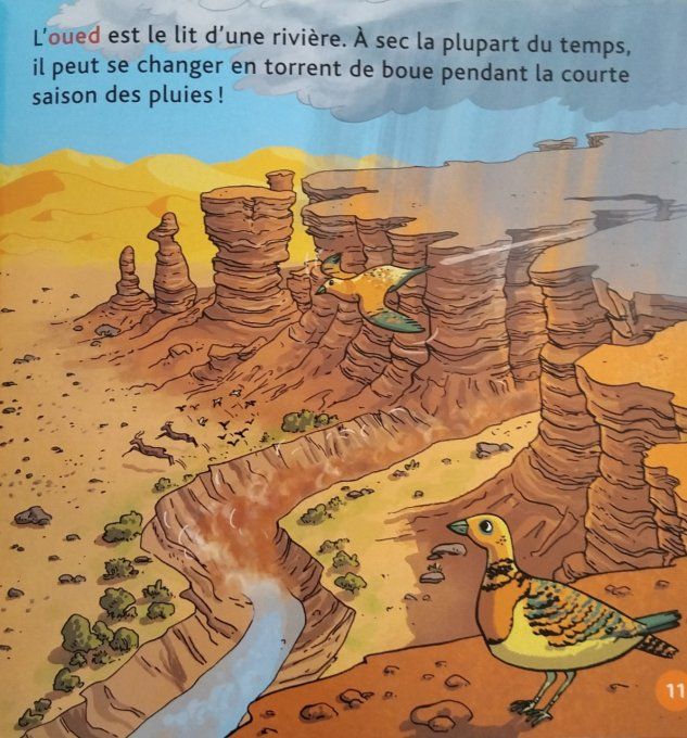 Mes p'tits docs le désert