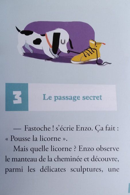 Mes premières enquêtes le fantôme du château