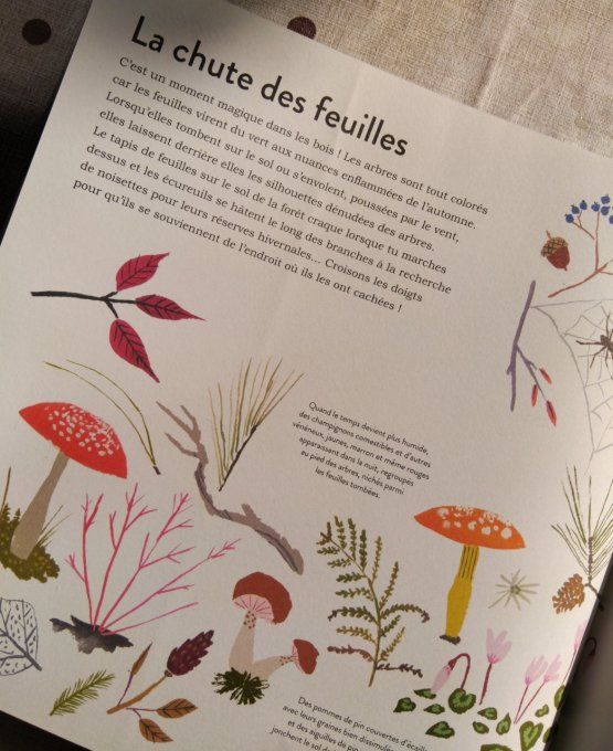Le fil des saisons