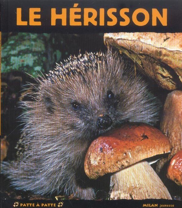 Le hérisson