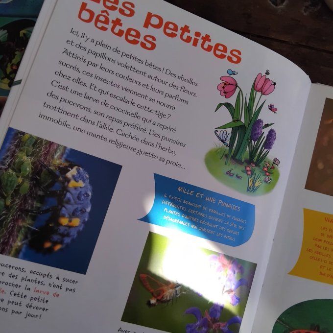 J'explore la nature le jardin