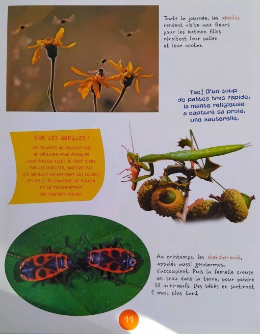 J'explore la nature le jardin