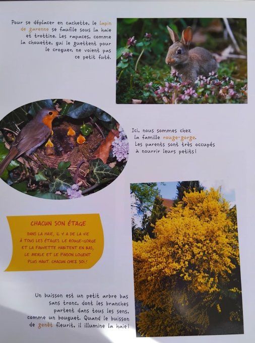 J'explore la nature le jardin