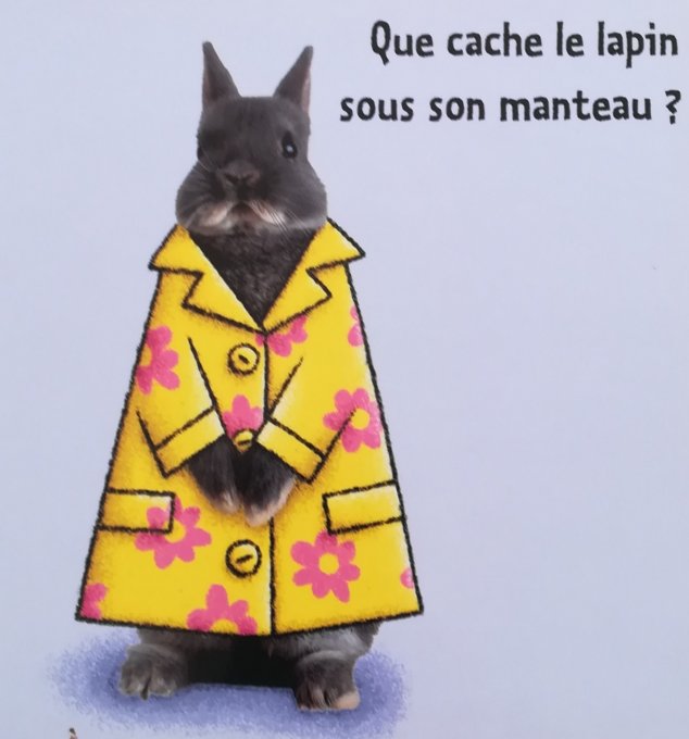 De la tête aux pattes, le lapin