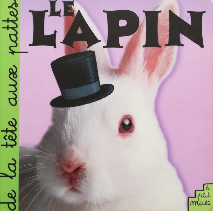 De la tête aux pattes, le lapin