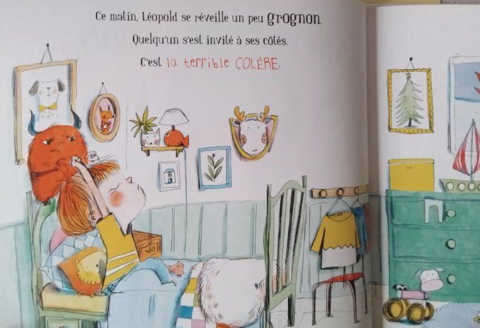Le livre de mes émotions la colère