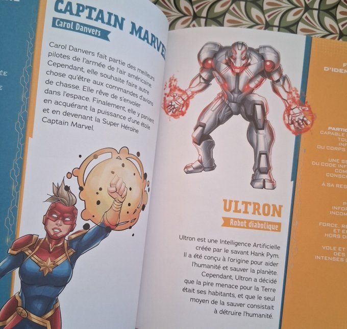 Le livre des héros