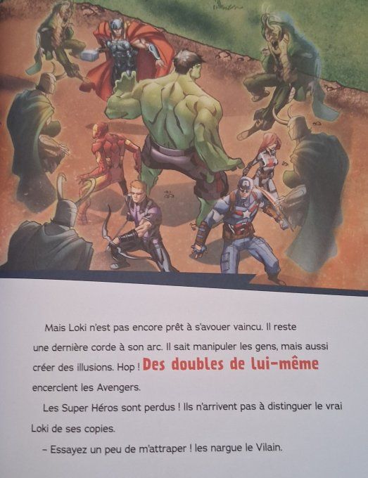 Le livre des héros