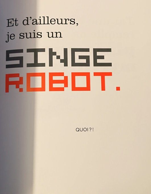 Le livre sans images