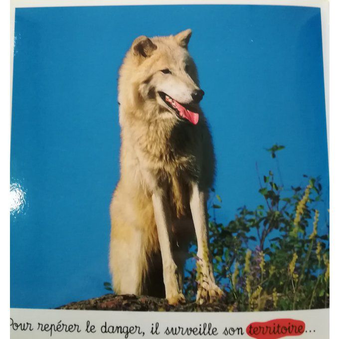 Le loup