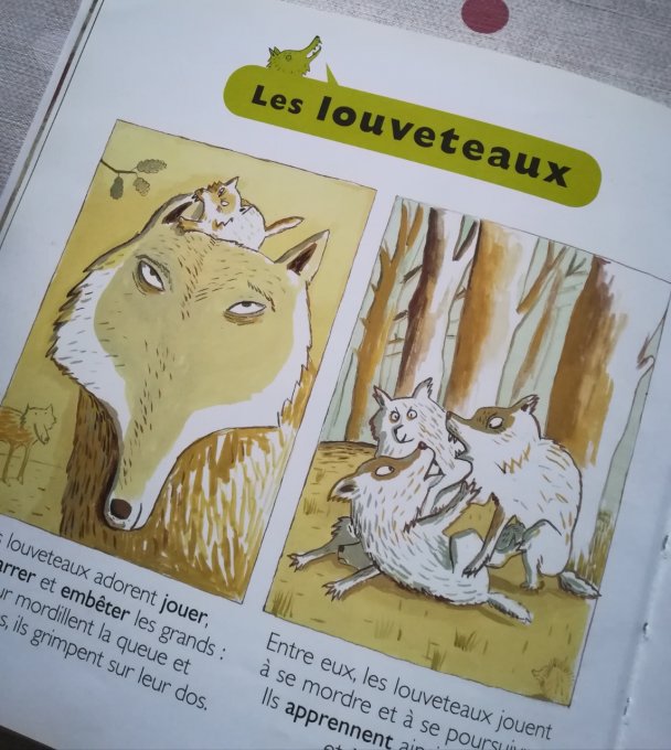 Mes petites encyclopédies Larousse, le loup