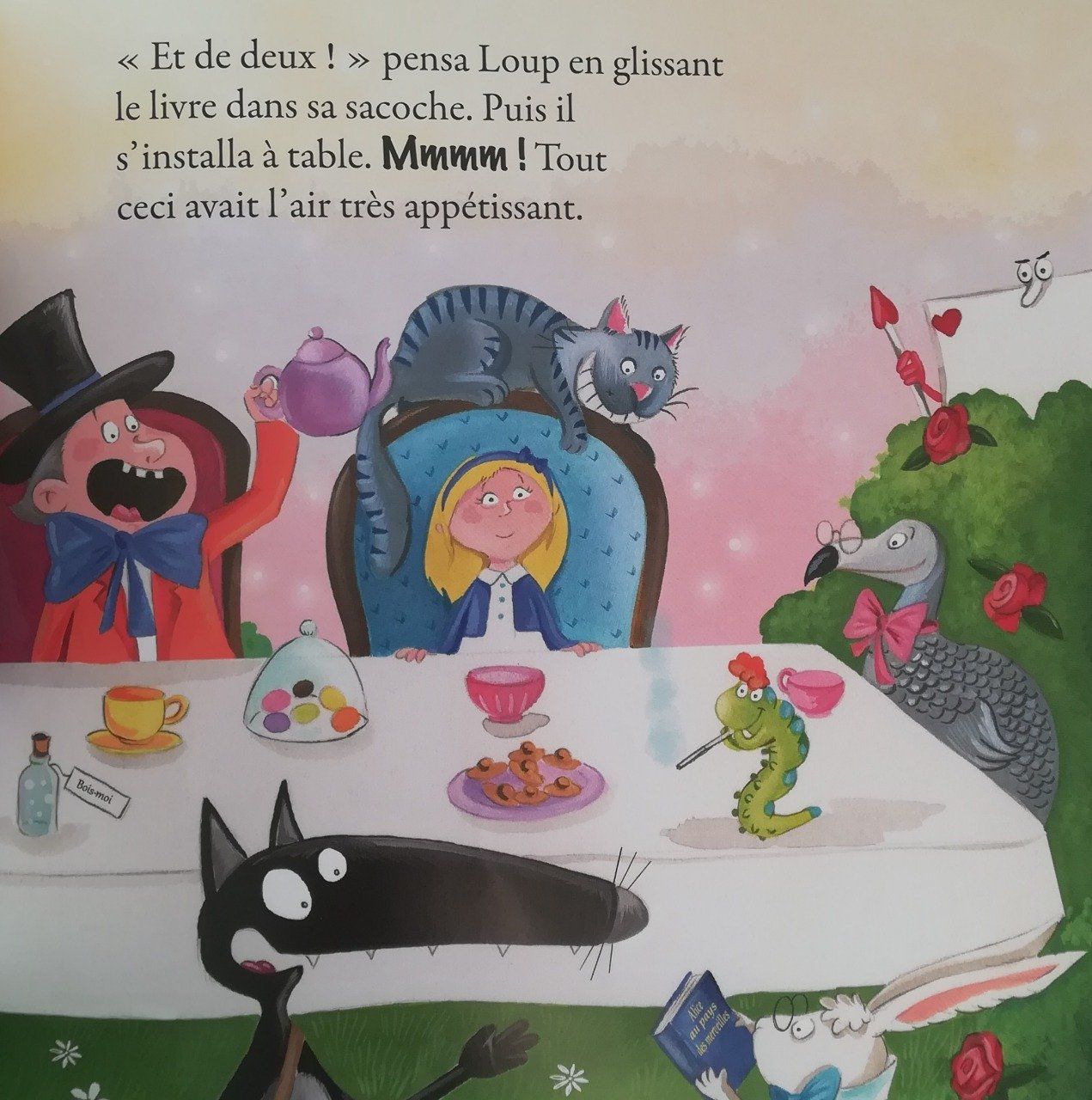 COLLECTION LE LOUP Le loup qui n'aimait pas lire