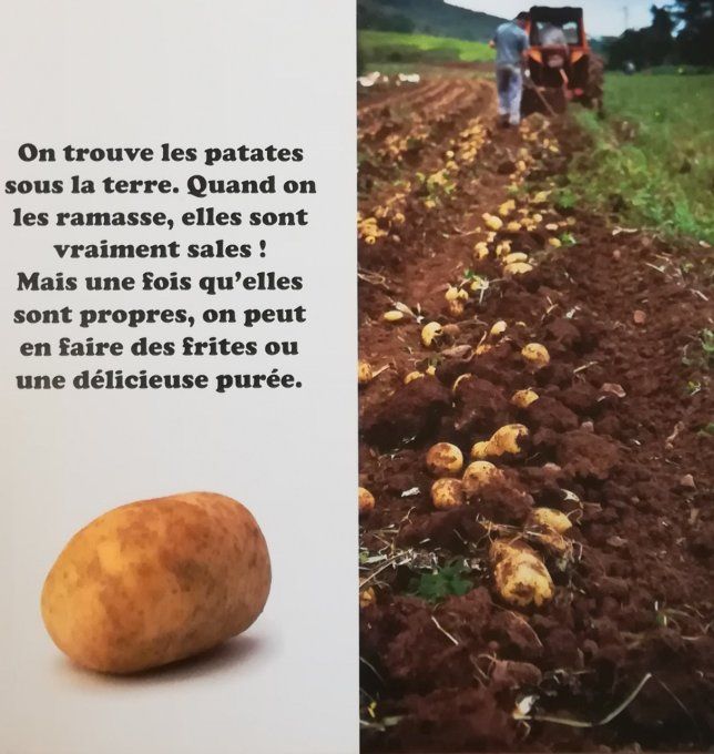 Mon petit livre sur le marché