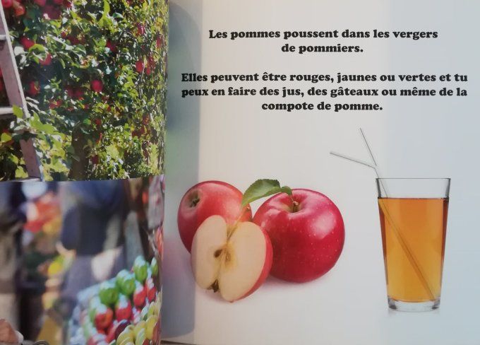 Mon petit livre sur le marché