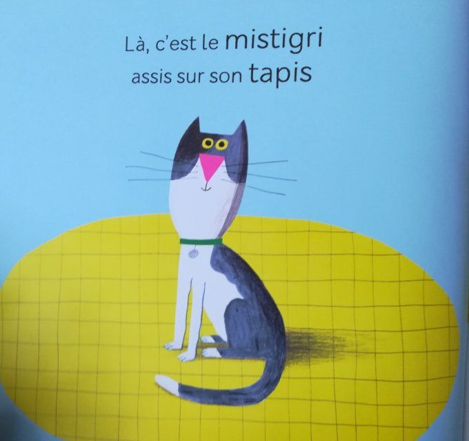 Le mistigri, la souris et le chapeau flashy