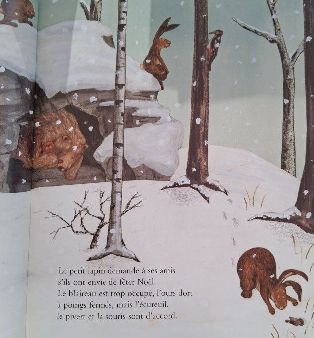 Le Noël de petit lapin