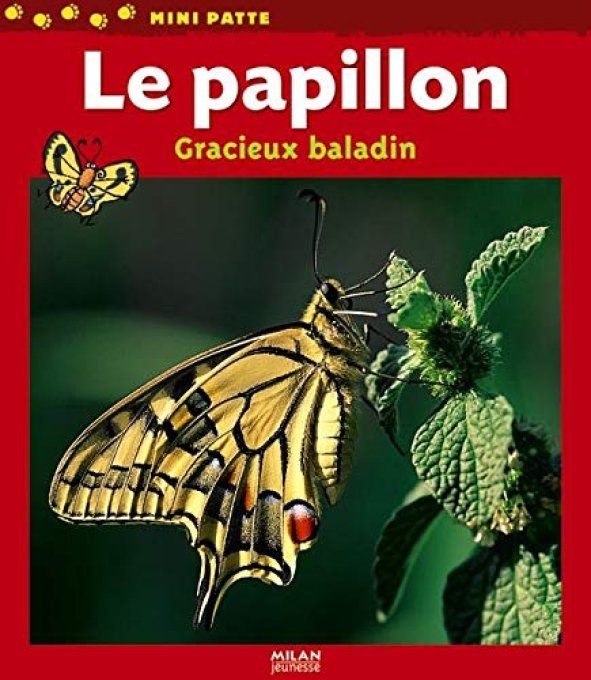 Le papillon, gracieux baladin 