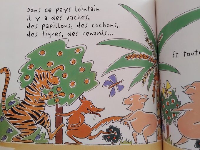 Livre enfant le pays gris