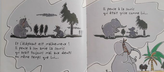 Livre enfant le pays gris