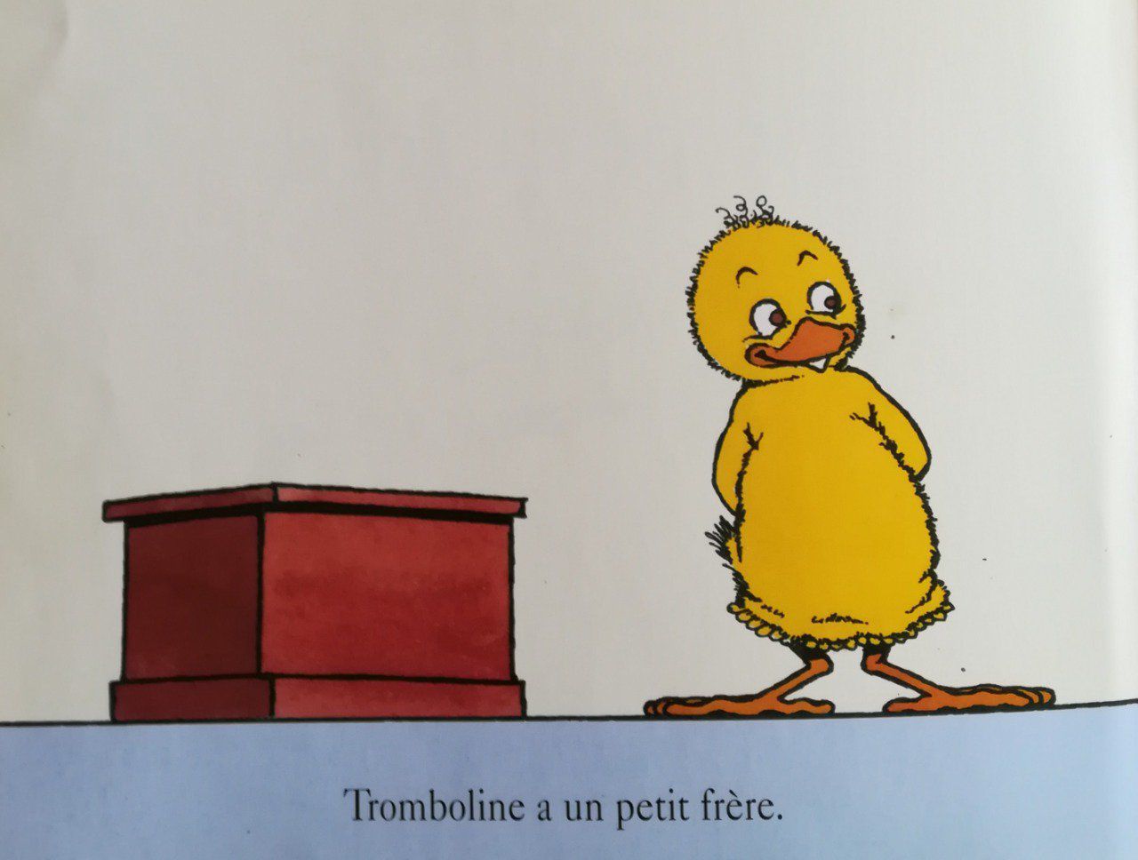 Le petit frère Teteenlire