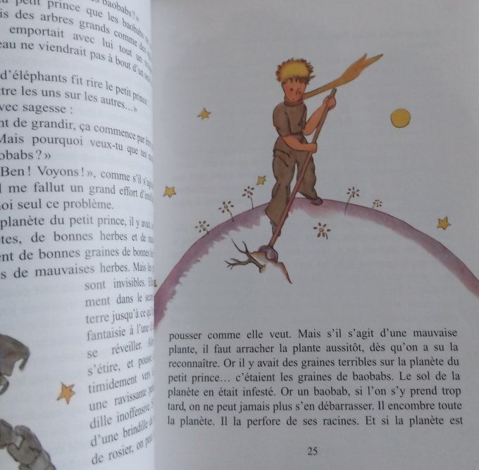 Le Petit Prince