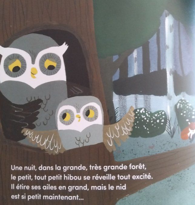 Le petit tout petit hibou s'envole