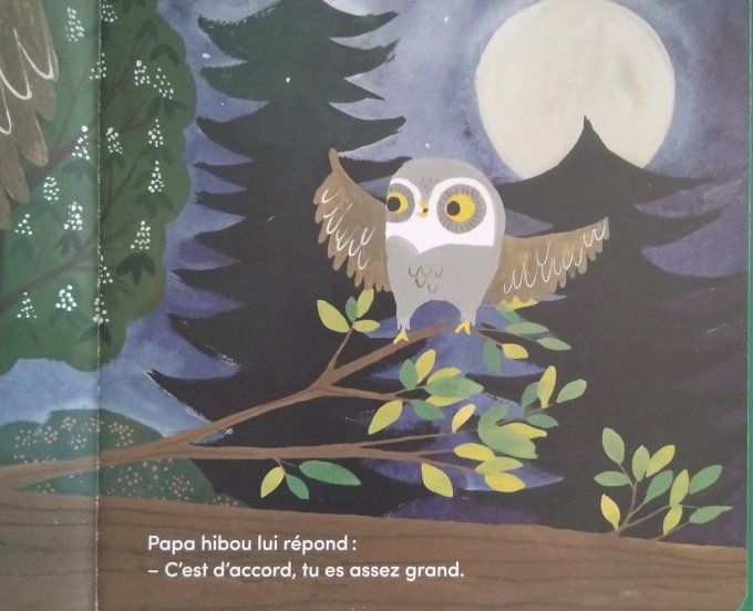 Le petit tout petit hibou s'envole