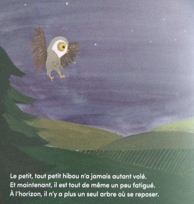 Le petit tout petit hibou s'envole