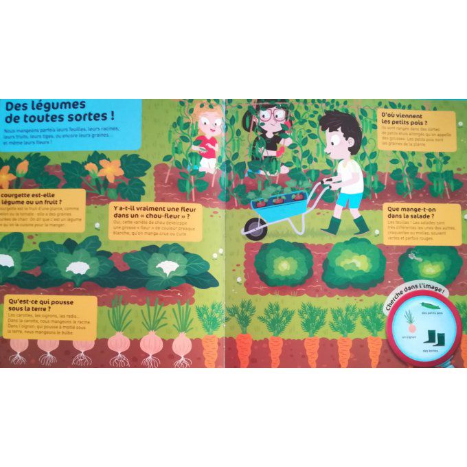 Le potager questions/réponses