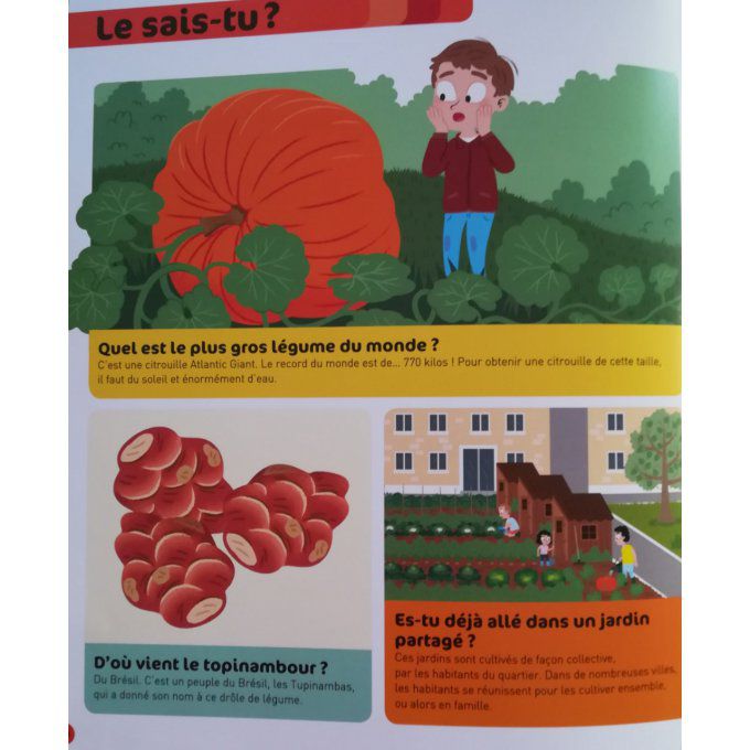 Le potager questions/réponses