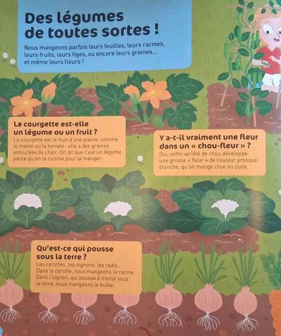 Questions/Réponses le potager