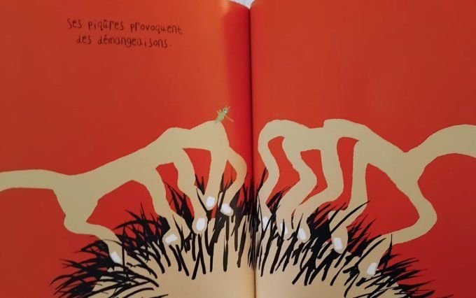 Les sciences naturelles de Tatsu Nagata, le pou