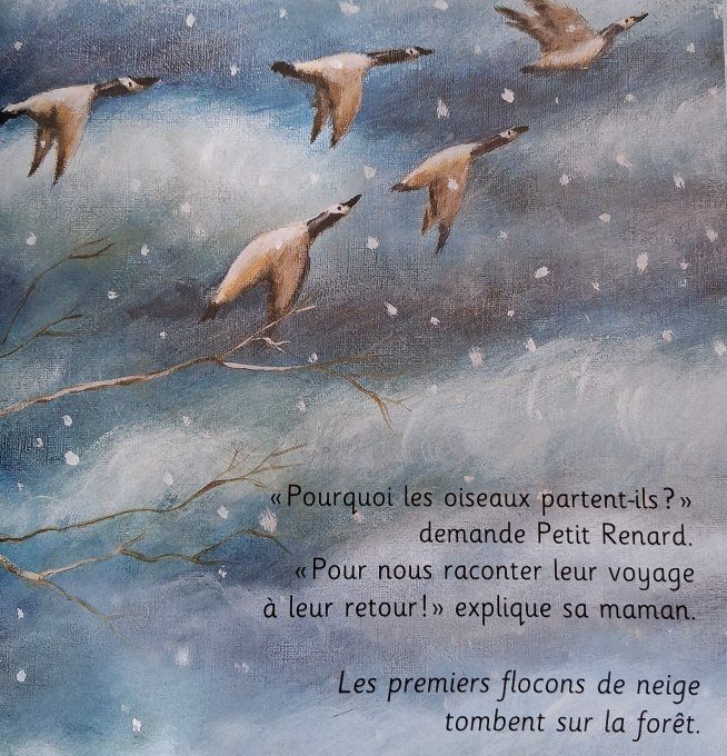 Le premier hiver de Petit Renard