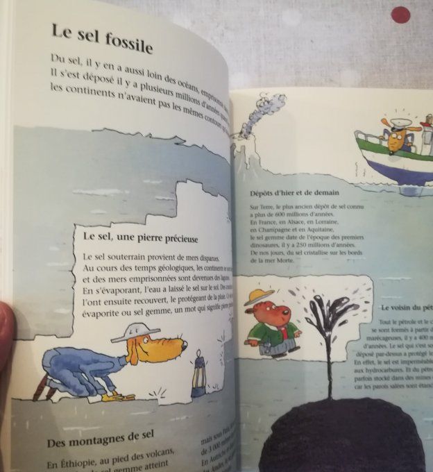 Le sel à petits pas