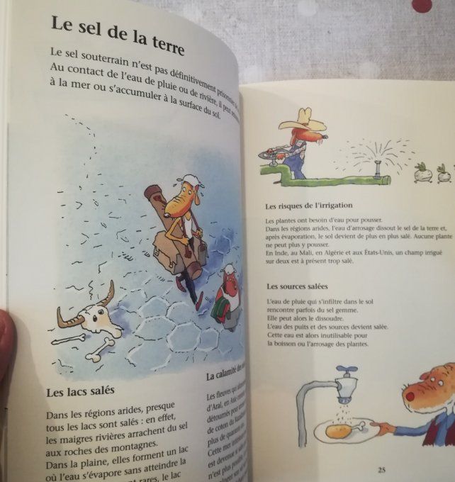 Le sel à petits pas