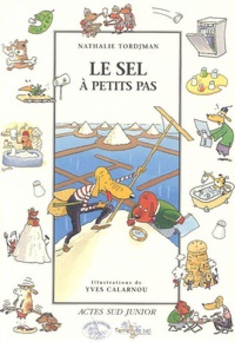 Le sel à petits pas