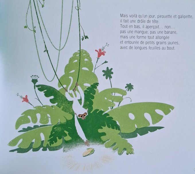 Le singe et l'épi de maïs