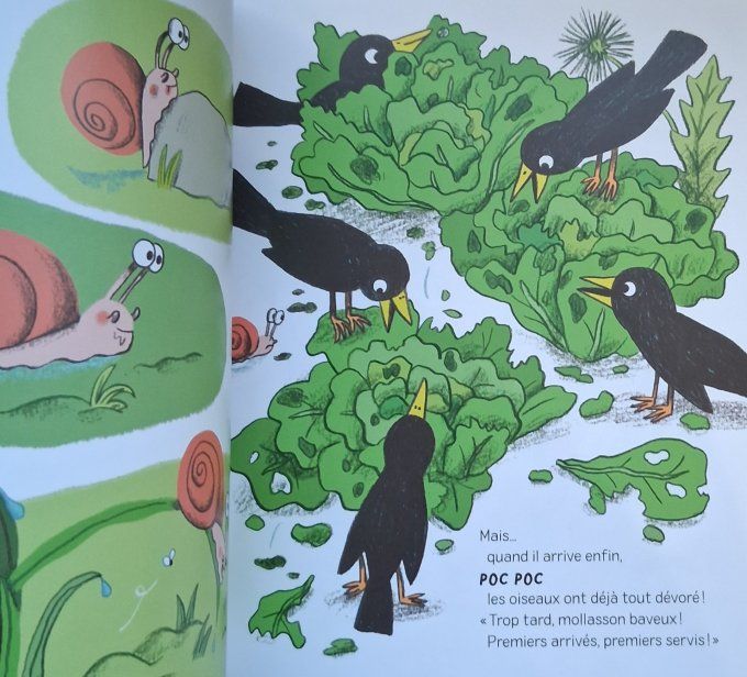 Le tempo de Bamboléo