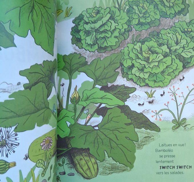 Le tempo de Bamboléo