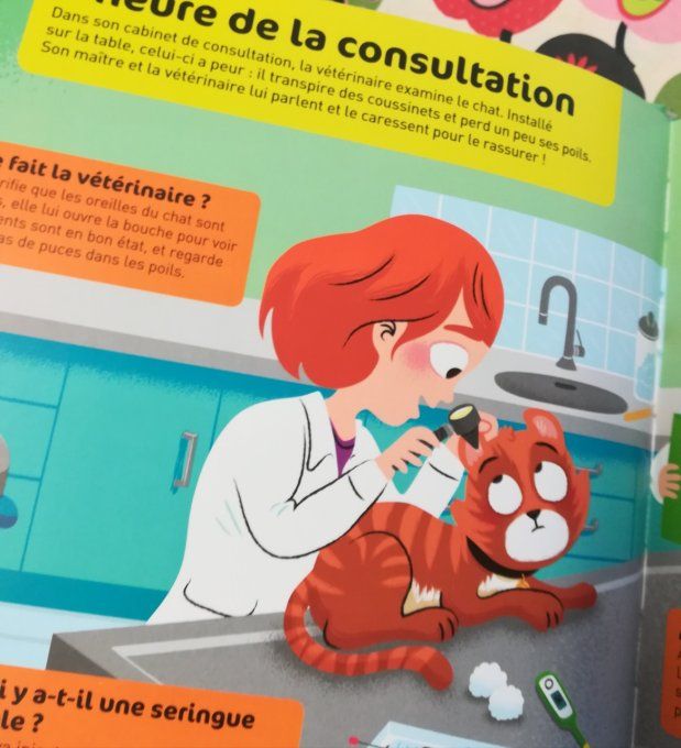Questions/réponses, le vétérinaire