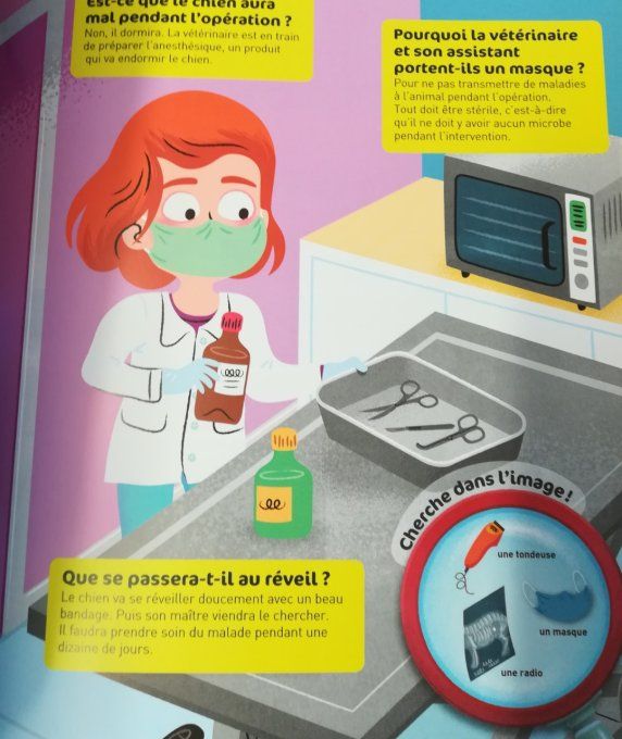 Questions/réponses, le vétérinaire