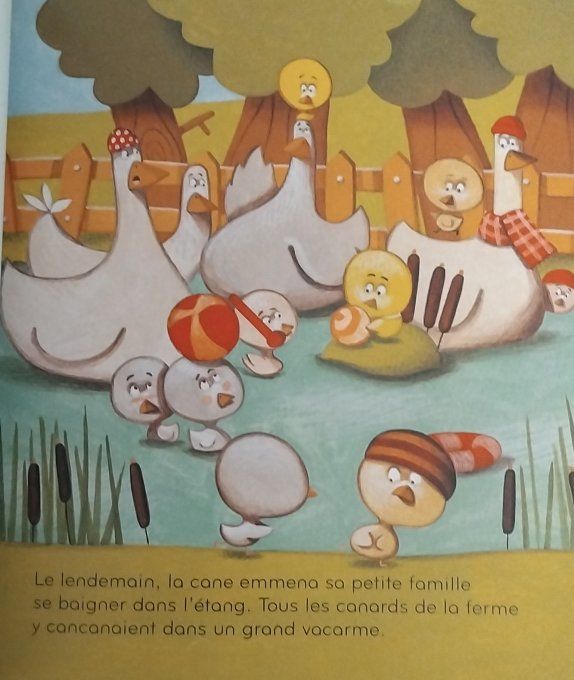 Le vilain petit canard