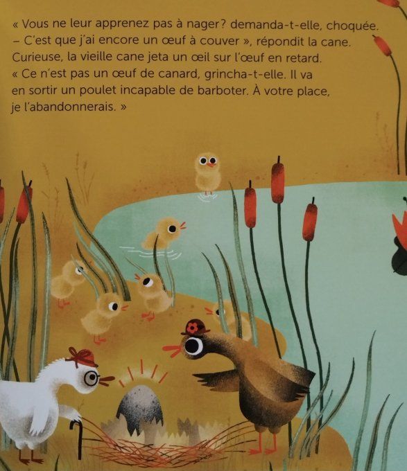 Le vilain petit canard, mes p'tits contes