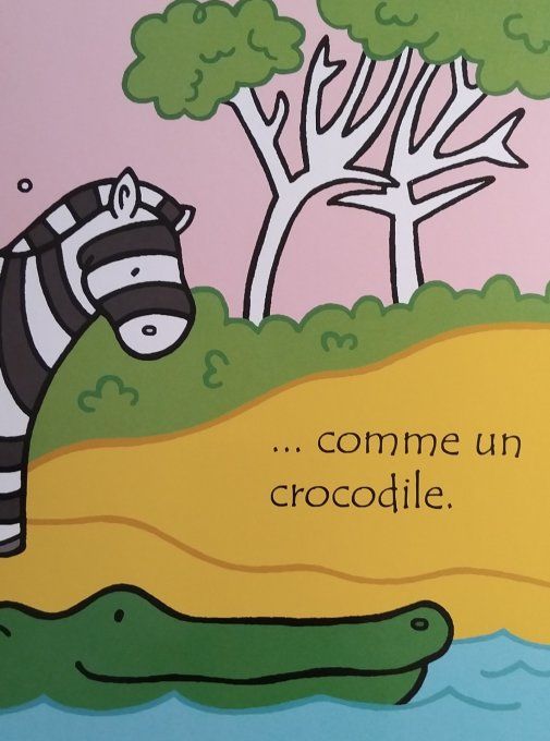 Le zèbre qui voulait changer de couleur