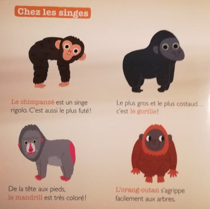 Mes bébés docs le zoo